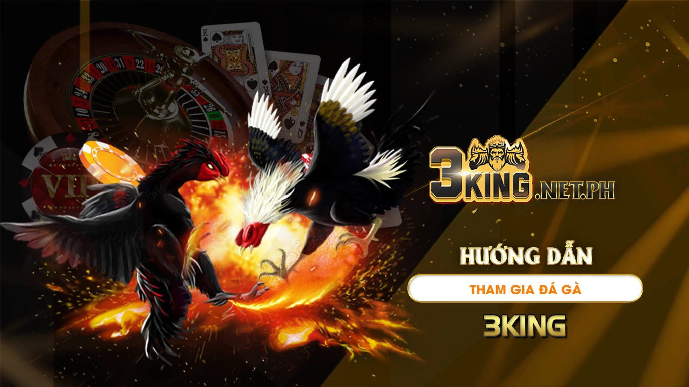 Hướng dẫn tham gia đá gà 3king