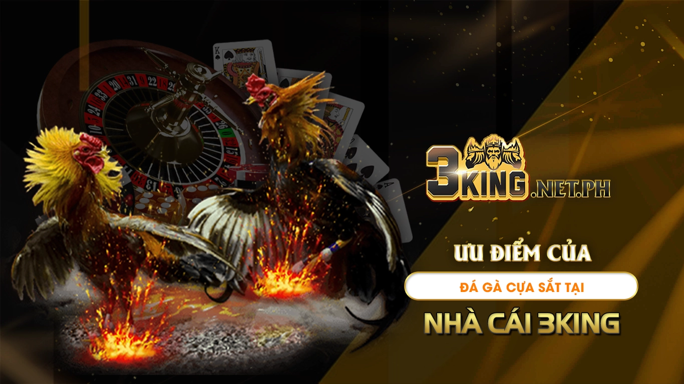 Ưu điểm của đá gà cựa sắt tại nhà cái 3king